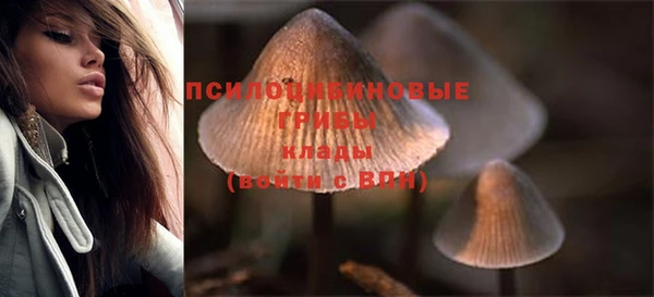 mix Нефтекумск
