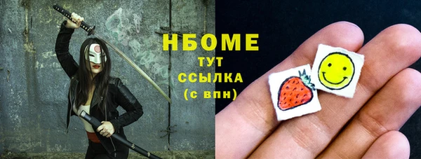 хмурый Алзамай