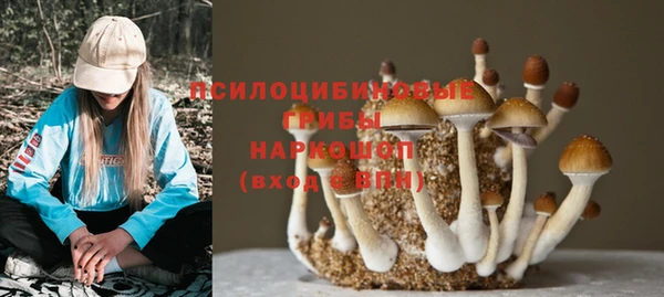 экстази Алексеевка